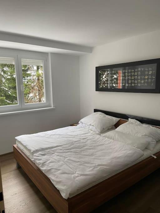 Seewohnung Mit Direktem Seezugang-Skiliftnaehe Villach Eksteriør billede